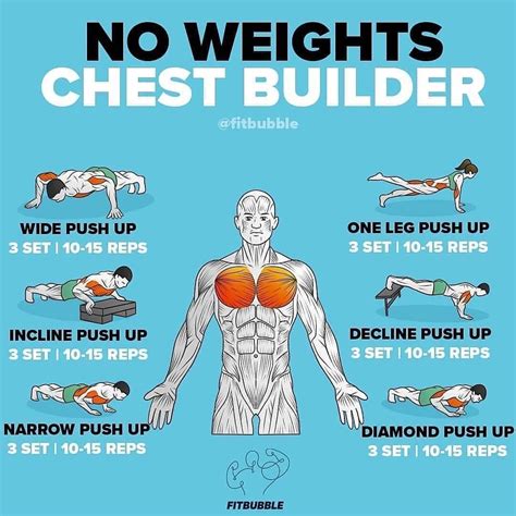 3 Chest .